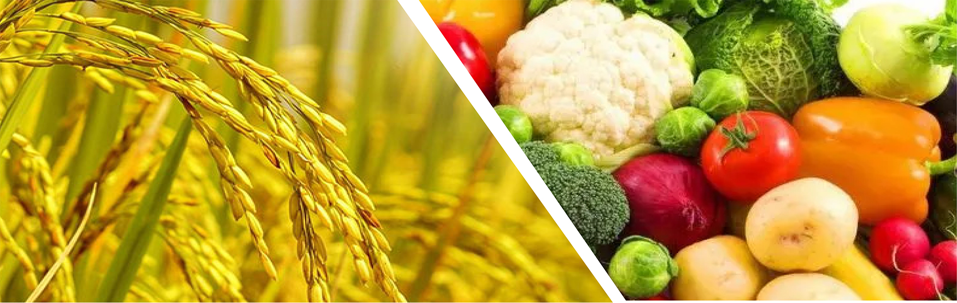 Phân bón Lâm Thao