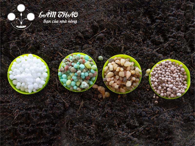 Hình ảnh tin tức Phân npk là gì? phân bón npk có công dụng như thế nào đối với cây trồng?