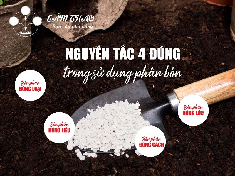 Nguyên tắc khi bón phân NPK