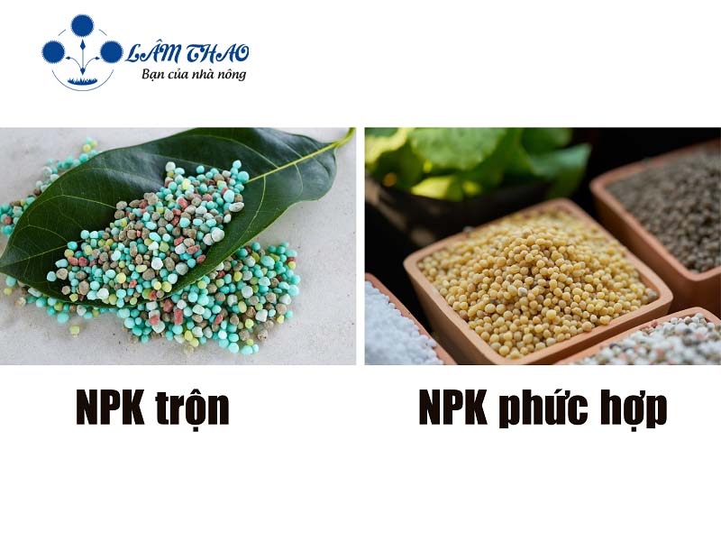Các loại phân bón NPK