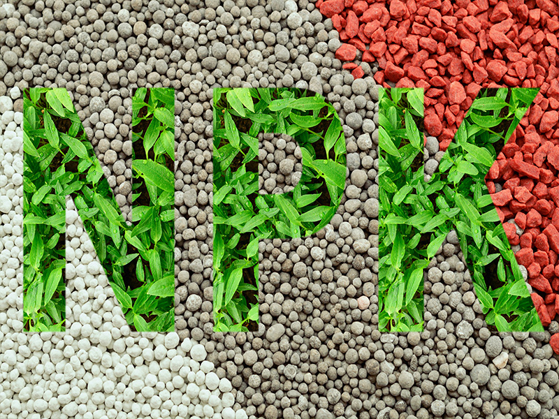 Hình ảnh tin tức Phân bón npk là gì? đặc điểm, tính chất và nguyên tắc lựa chọn - nhà nông cần biết