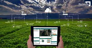 Hình ảnh tin tức IoT: Nền tảng của chu trình canh tác thông minh